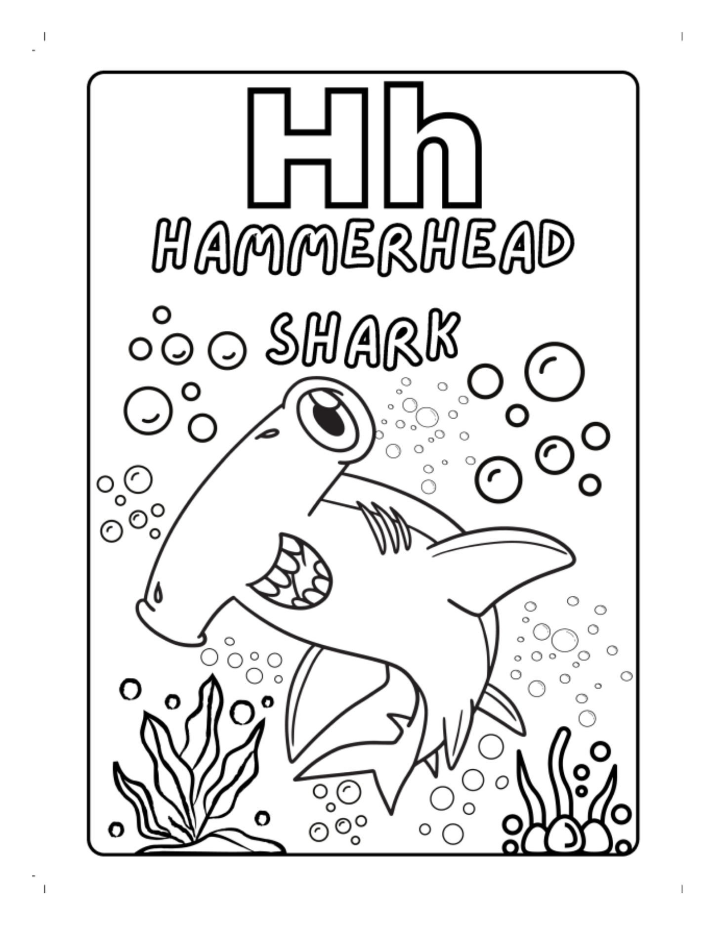 Sea Animals A-Z