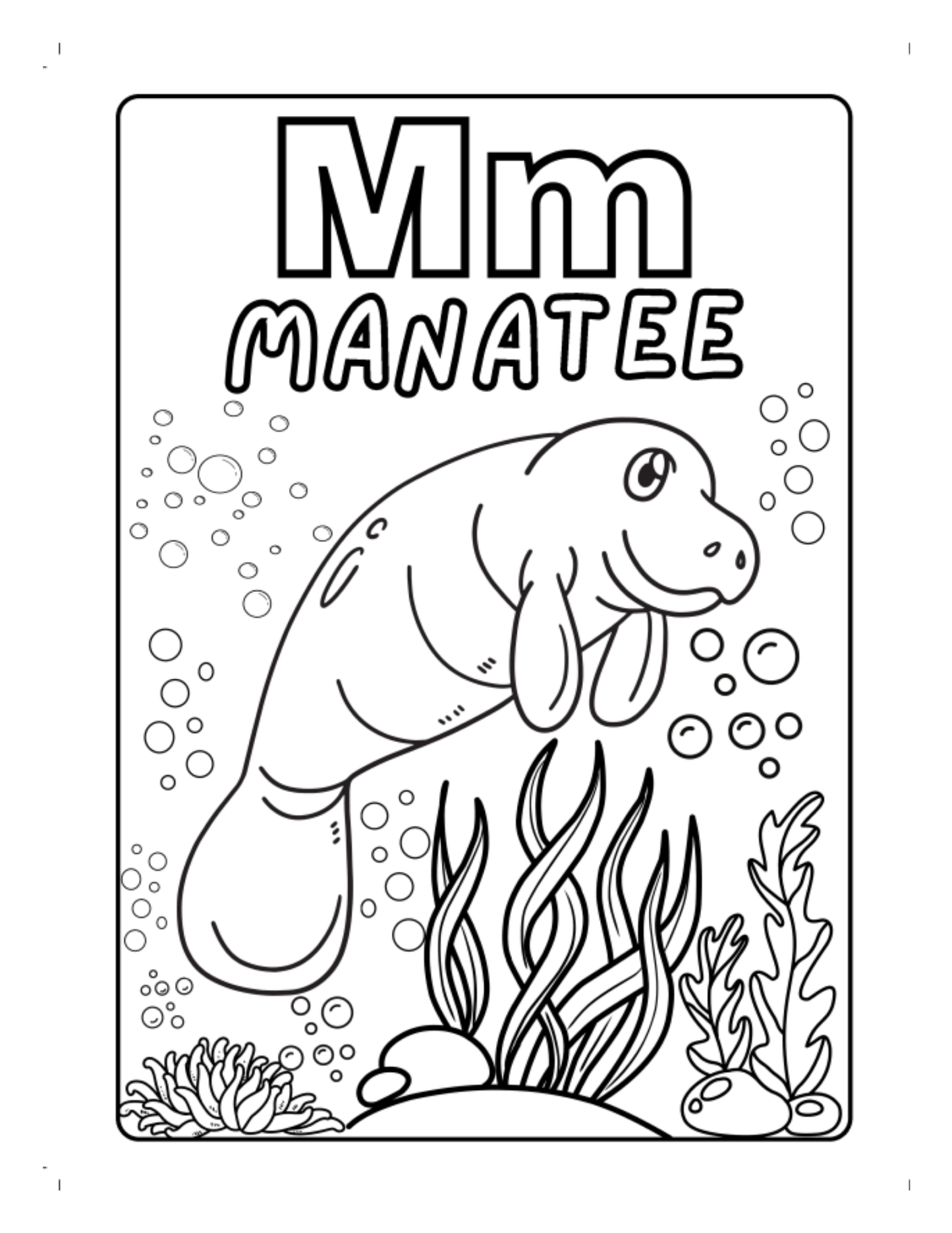 Sea Animals A-Z