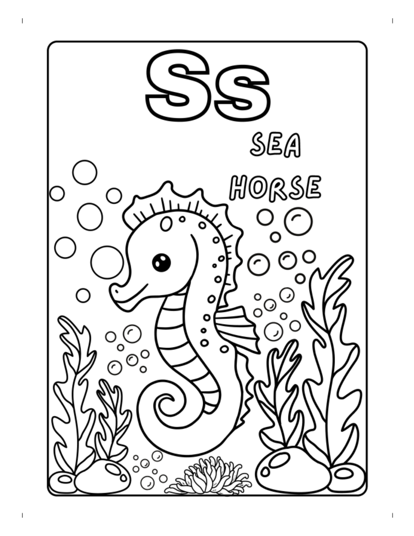 Sea Animals A-Z