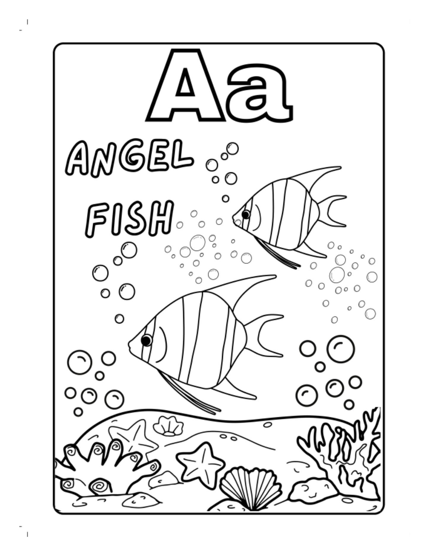 Sea Animals A-Z